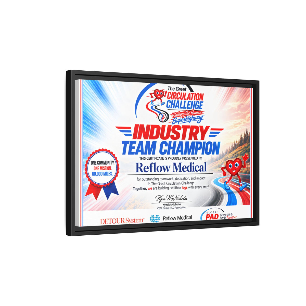 Reflow Medical - Matte Canvas, Framed (Multi-color)